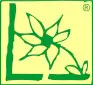 VIDROFLOR LOGO